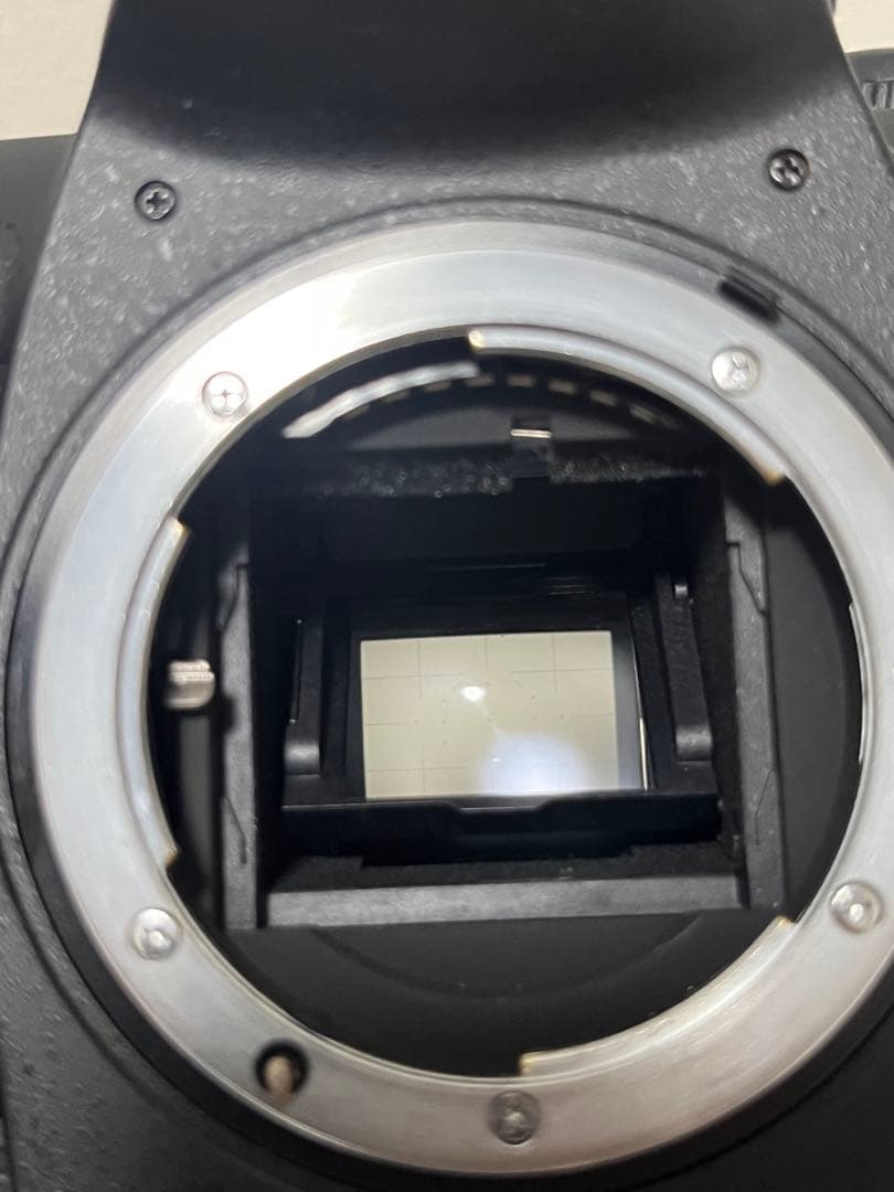 Nikon Digital Slrs D200 2 Ccd