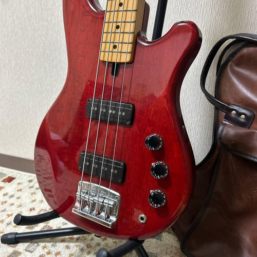 Yamaha Electric Basses Sb800S