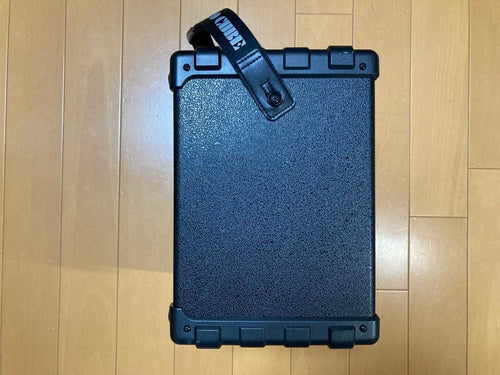 Roland Bass Amps Micro Cube Rx