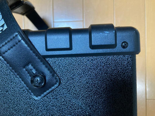 Roland Bass Amps Micro Cube Rx