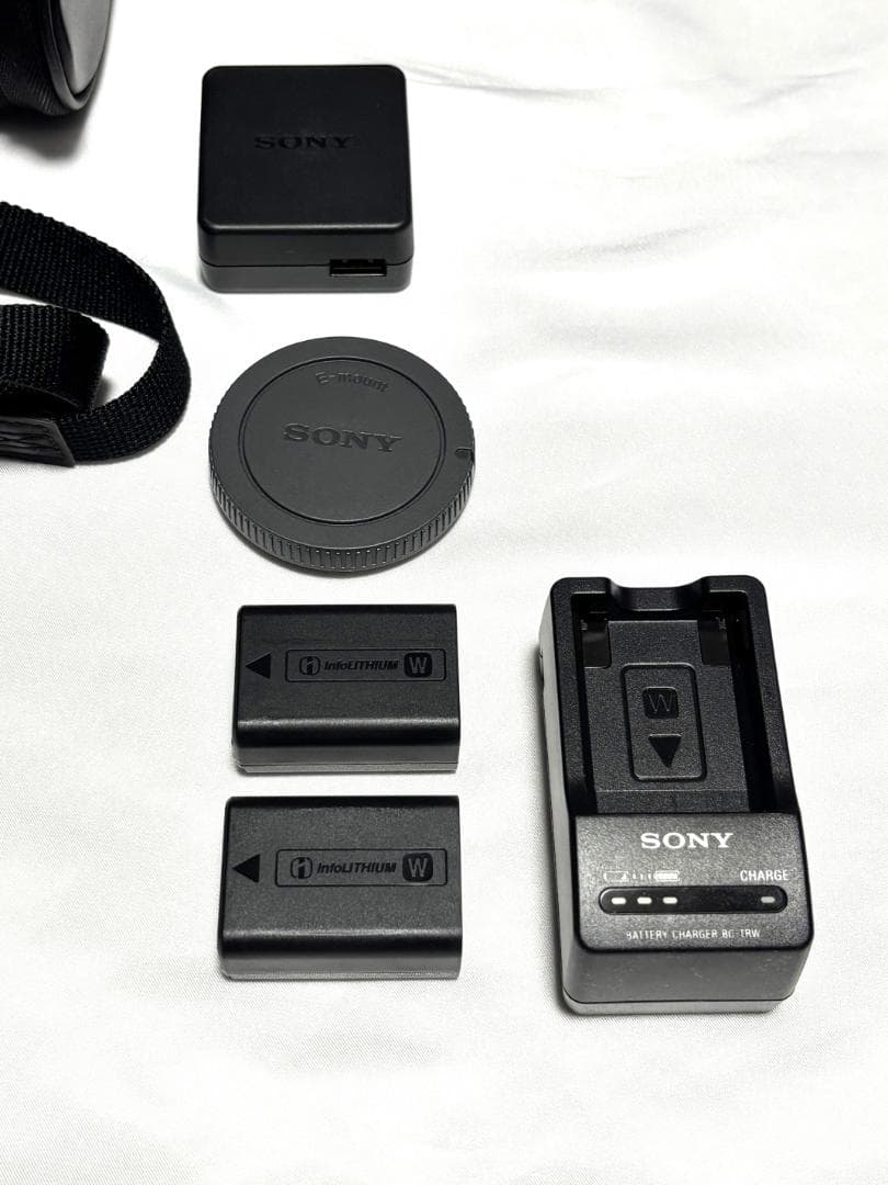 Sony Mirrorless Interchangeable Lens Cameras 5000 Ilce-5000L