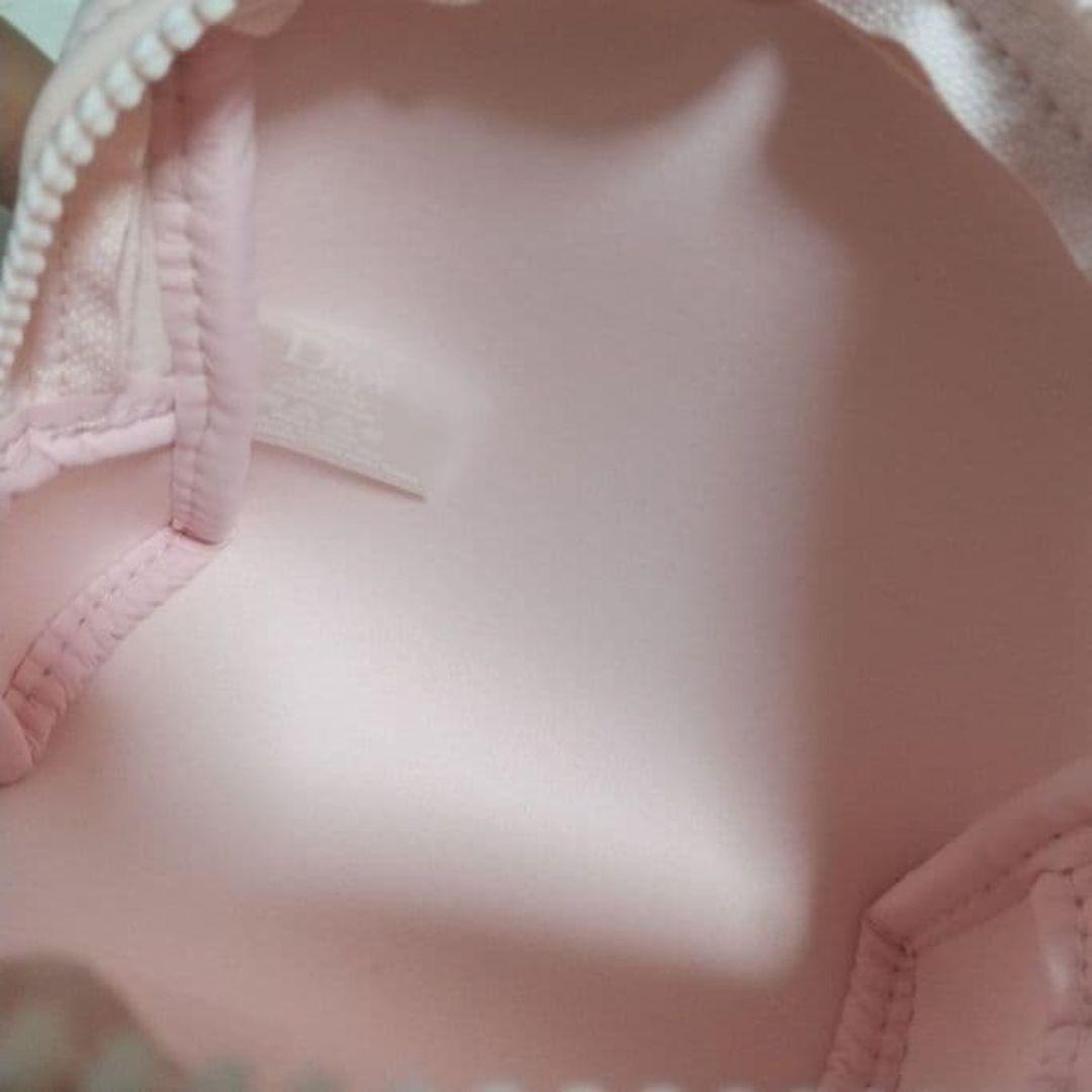 Christian Dior Pouches