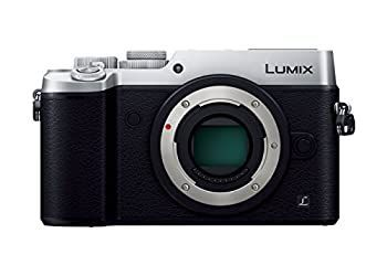 Digital Slr Gx8 2030 Dmc-Gx8-S