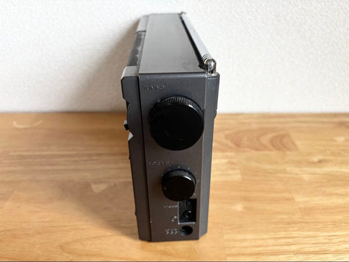 Sony Radio And Boombox 80S Icf-Ex5