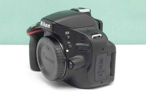 Nikon Digital Slrs D5100