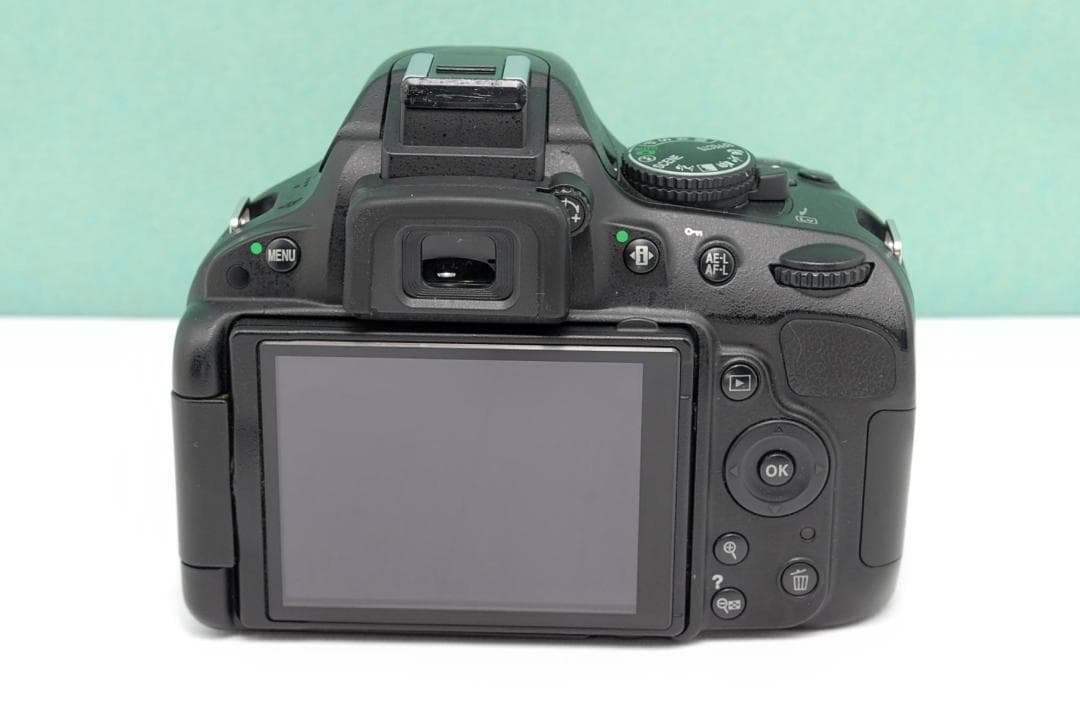 Nikon Digital Slrs D5100