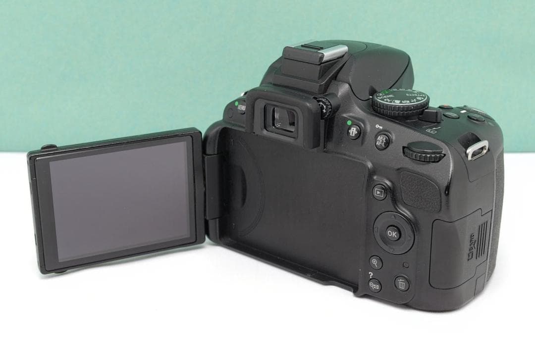 Nikon Digital Slrs D5100