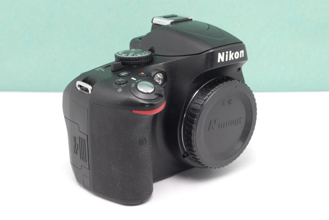 Nikon Digital Slrs D5100