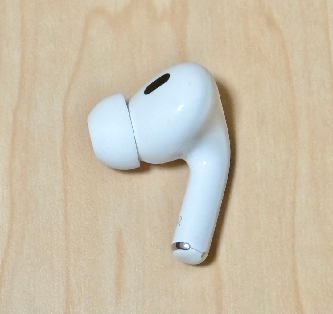 Airpods Body Apple Pro