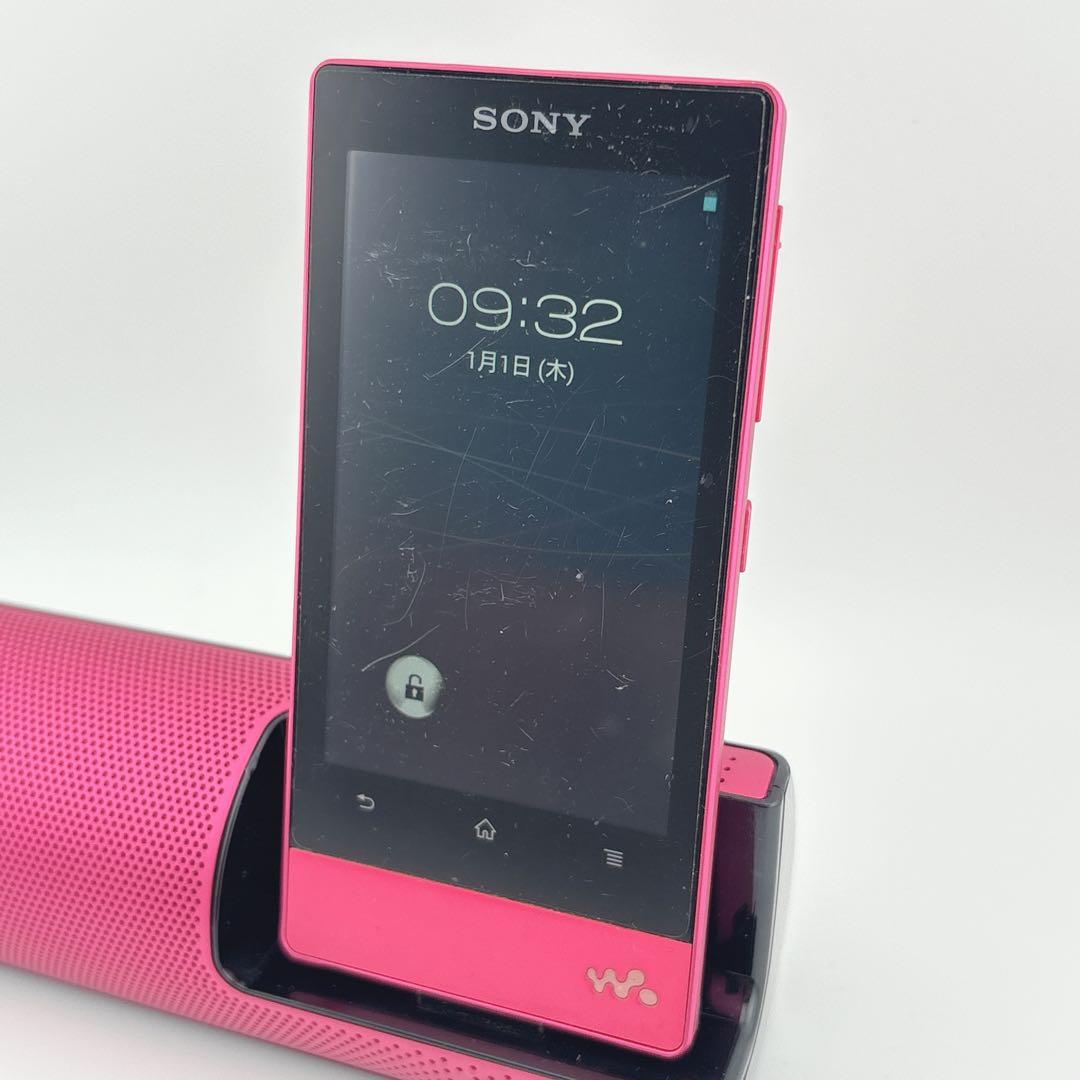 Sony Support Supplies Walkman Nw-F805 16Gb