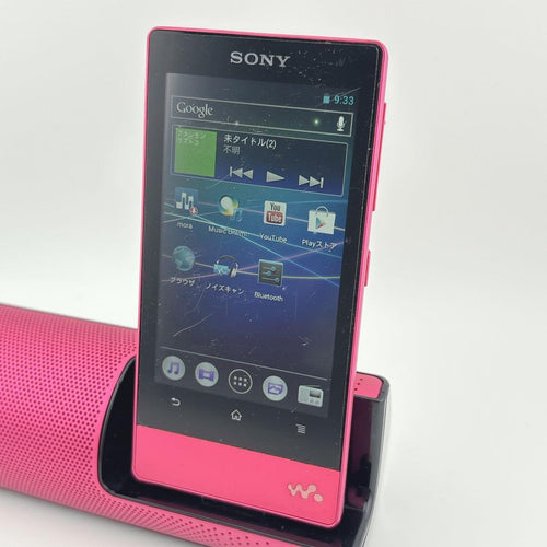 Sony Support Supplies Walkman Nw-F805 16Gb