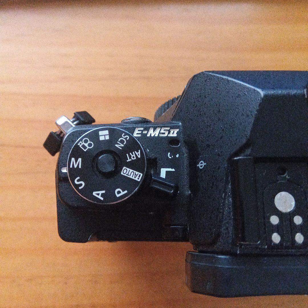 Olympus Mirrorless Interchangeable Lips Om-D E-M5 Mark Ii