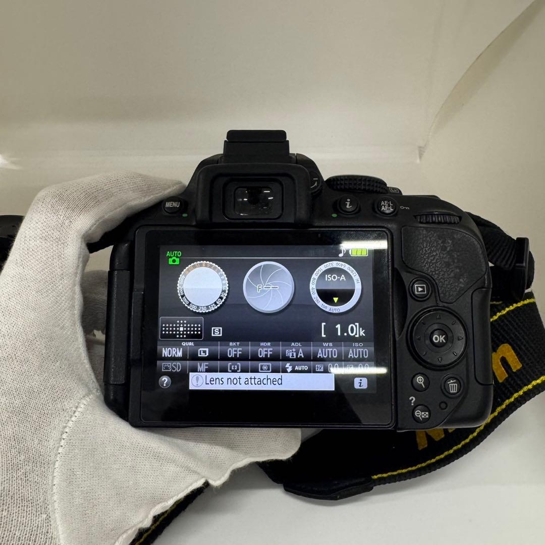 Digital Slrs Nikon D5300 3