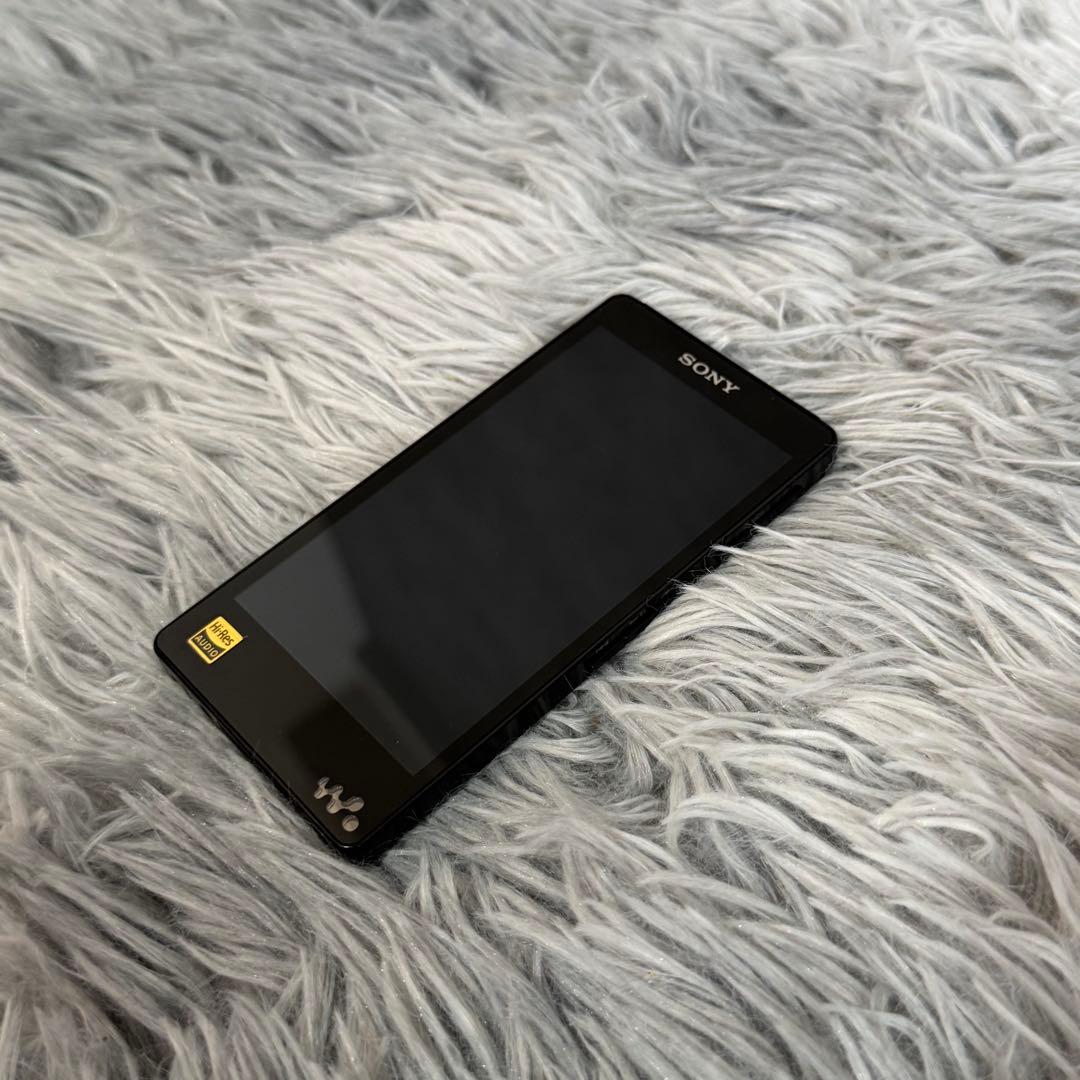 Sony Digital Audio Players Nw-F887 64Gb