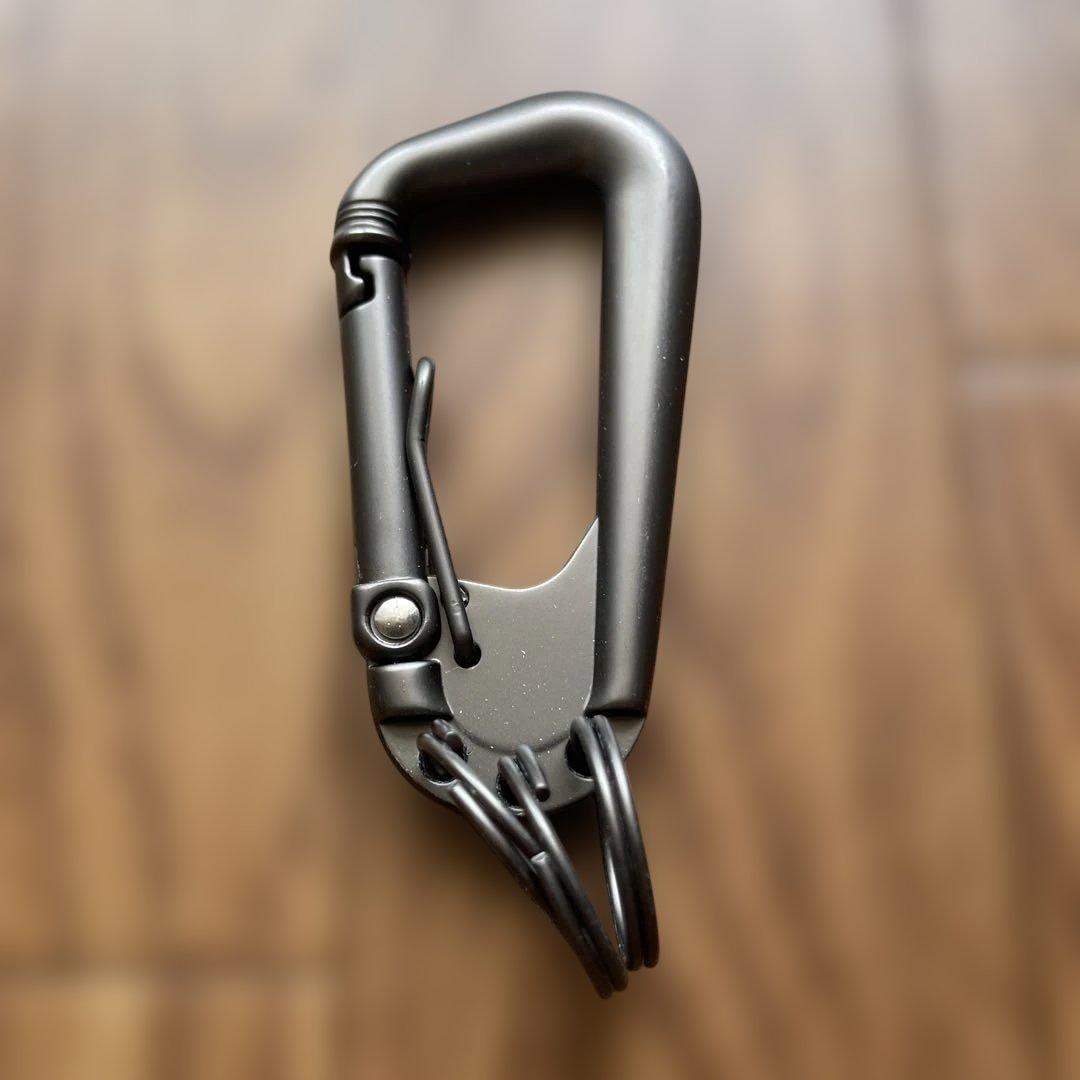 Neighborhood Carabiners Carabiner