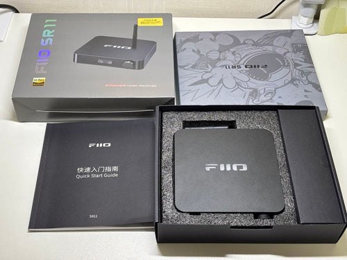 Fiio Wired Headphones Hifiman He400Se