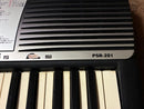 Yamaha Analog Synthesizers Psr-201