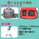 Nikon Digital Slrs D60 W