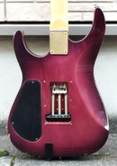 Electric Guitar Synth C By J Roland Gk-3 Gr-55