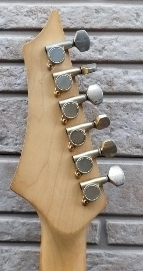 Electric Guitar Synth C By J Roland Gk-3 Gr-55
