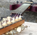 Electric Guitar Synth C By J Roland Gk-3 Gr-55