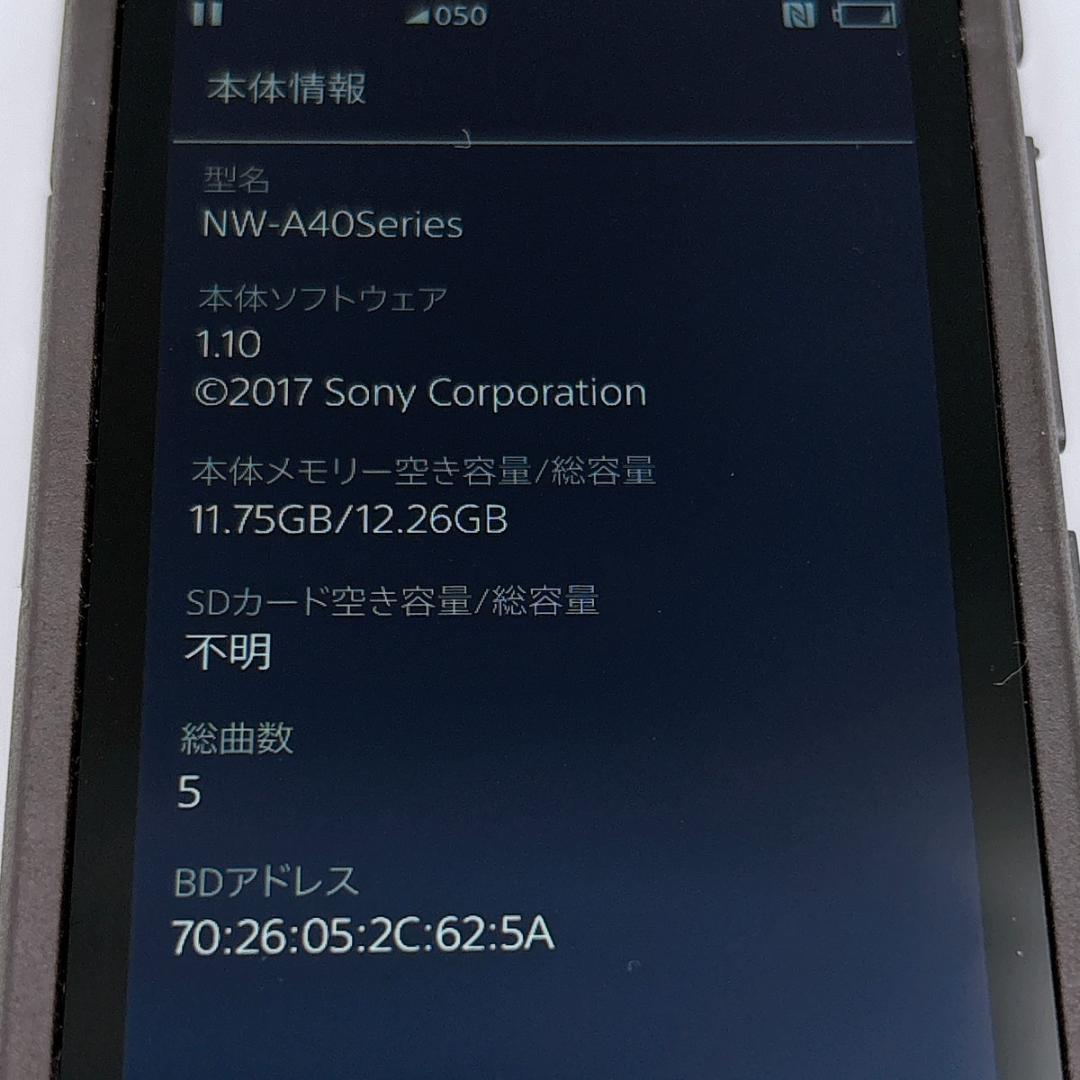 Sony Digital Audio Player Walkman Nw-A45