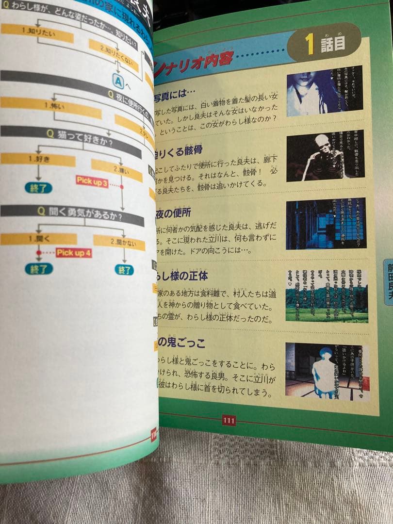 Game Capture Book