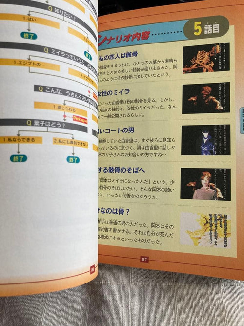 Game Capture Book