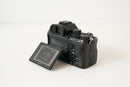 Sony Mirrorless Interchangeable Lens Cameras 7Iii
