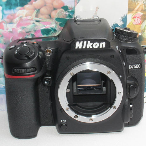 Nikon Digital Slr D7500