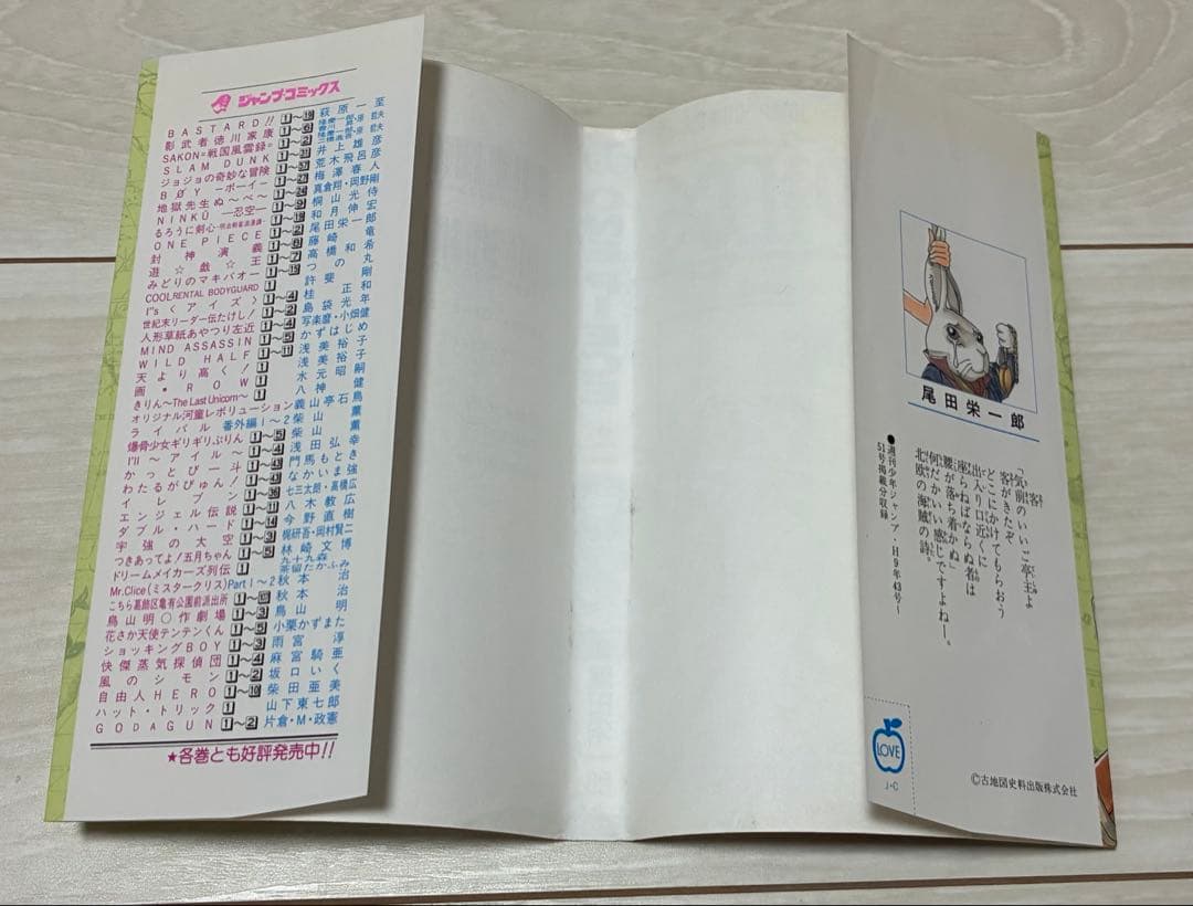 Boy'S Manga One Piece 2