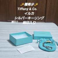 Tiffany Keychain Key Ring Co.
