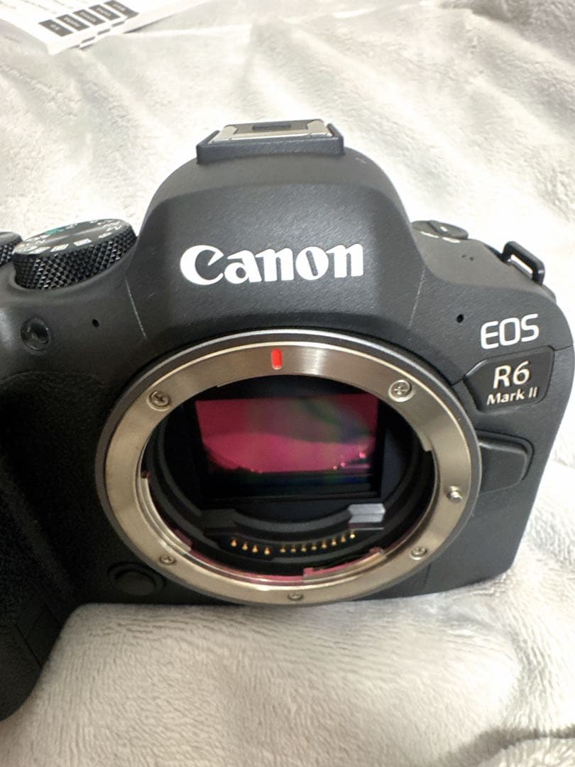 Canon Mirrorless Interchangeable Lips R6 Mark Ii Rf24-105Mm F4 Stm