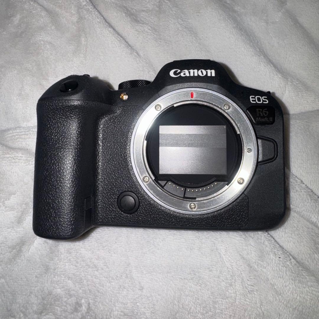 Canon Mirrorless Interchangeable Lips R6 Mark Ii Rf24-105Mm F4 Stm