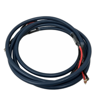 Cable Wyvern Audio 2 M11127491