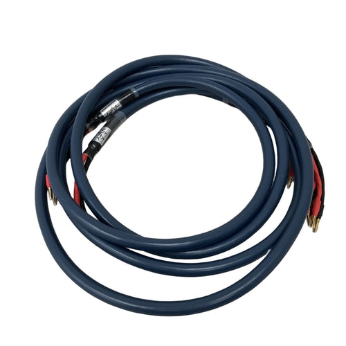 Cable Wyvern Audio 2 M11127491