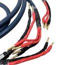 Cable Wyvern Audio 2 M11127491