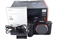 Sony Mirrorless Interchangeable Lips 7 Iii Body