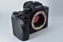 Sony Mirrorless Interchangeable Lips 7 Iii Body