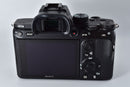 Sony Mirrorless Interchangeable Lips 7 Iii Body