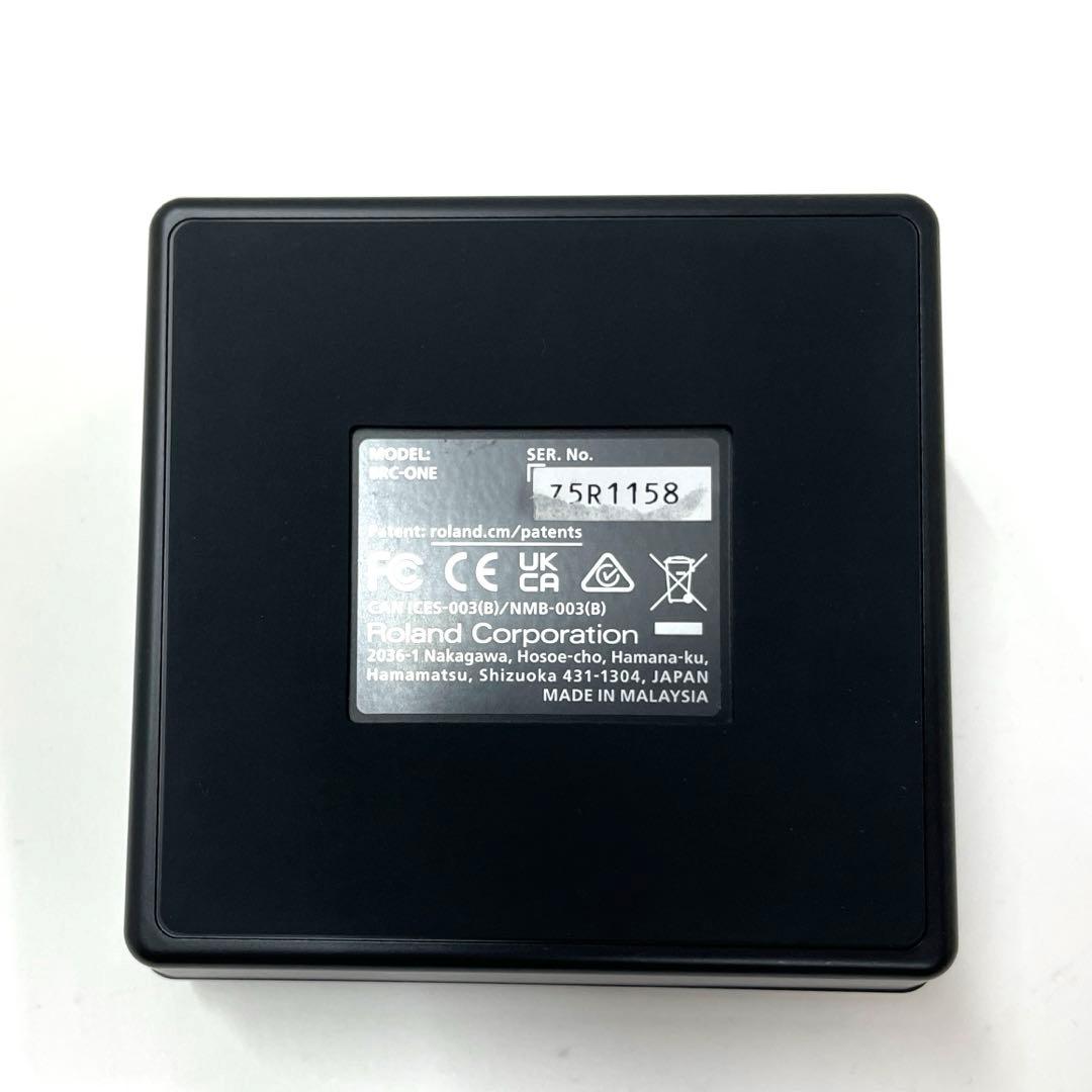 Roland Audio Interface Bridge Cast One