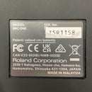 Roland Audio Interface Bridge Cast One