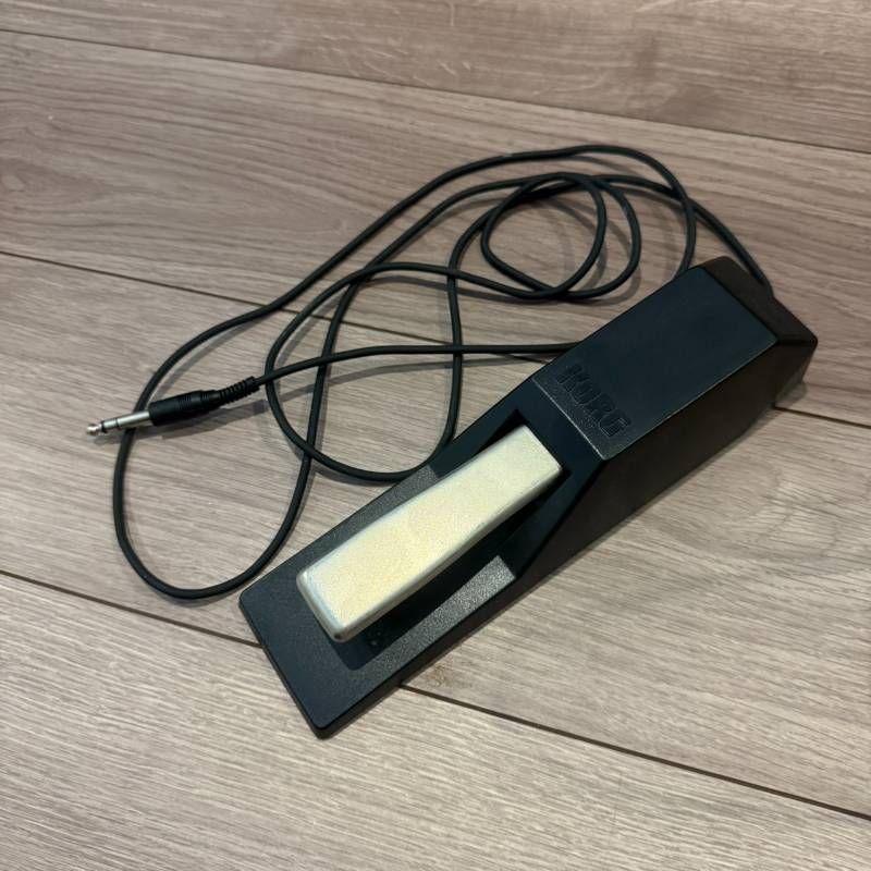 Single Pedal Korg