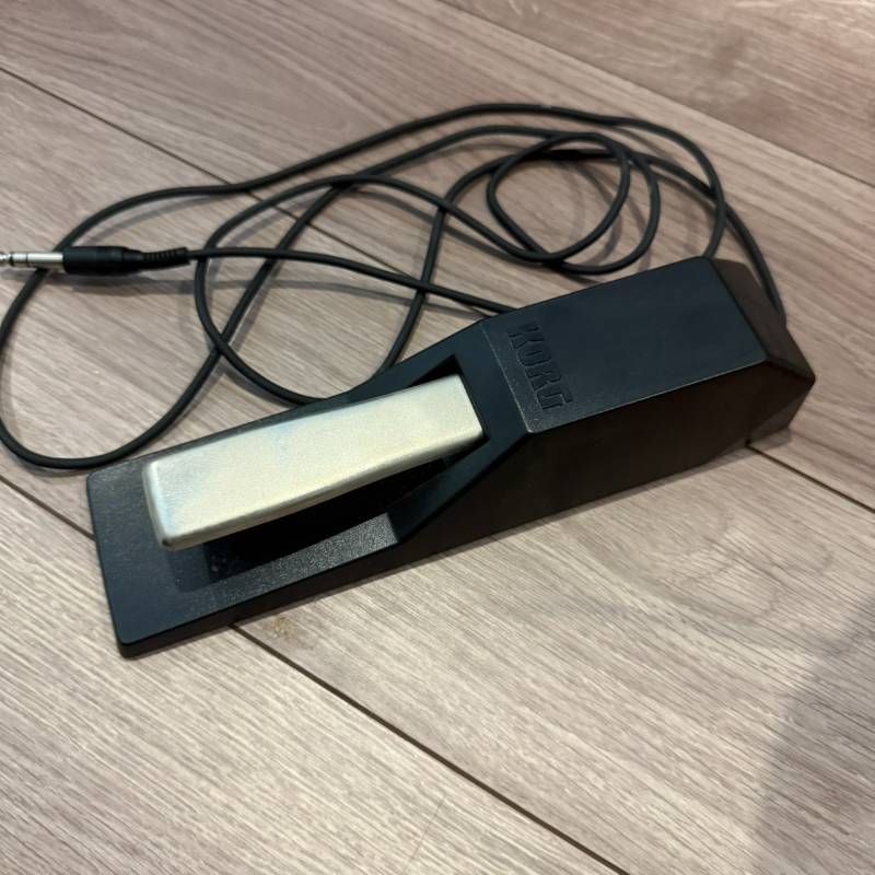 Single Pedal Korg
