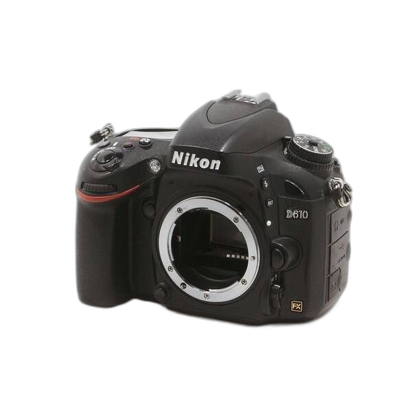 Nikon Digital Slr D610 349