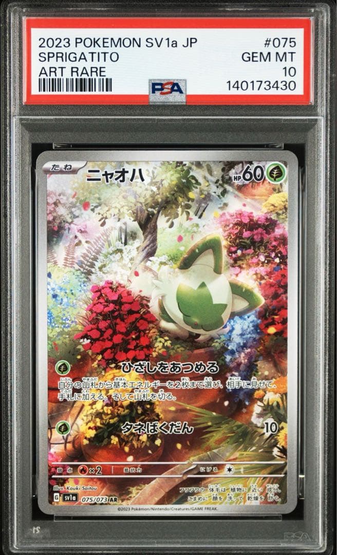 Pokemon Card Game Psa10 9