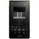 Digital Audio Player (Sony) 64Gb Zx Nw-Zx707 Walkman/Dsd /Mp3 Bluetooth/Android
