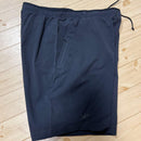 Arc'Teryx Shorts Bermuda