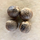 Caudiciform Caudic Plants 4 1