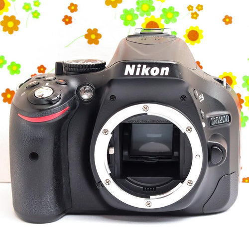 Nikon Digital Slrs D5200